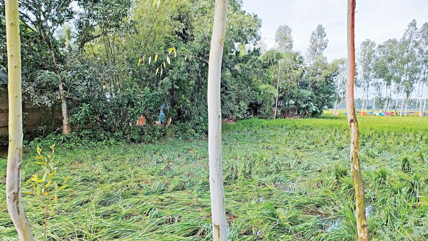 cyclone-sitrang.jpg