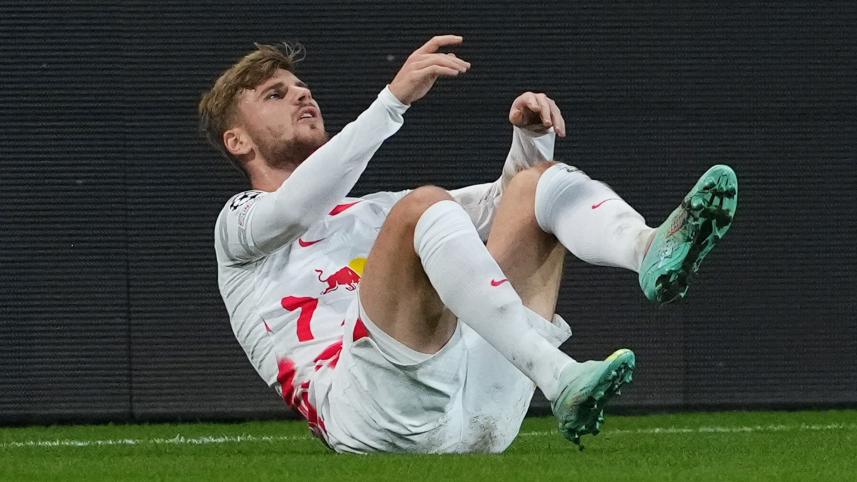 werner.jpg