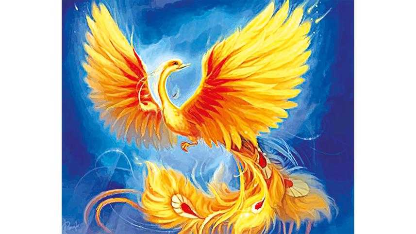 firebird-1.jpg