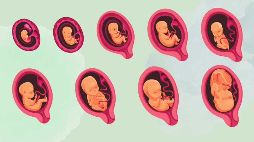 prenatal_care.png