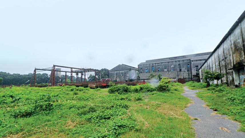 sugar-mills.jpg