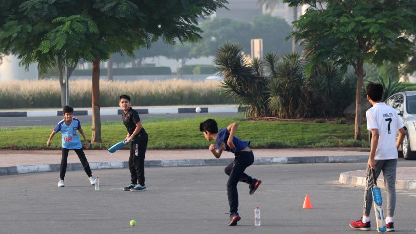 gulf_cricket_3.jpg