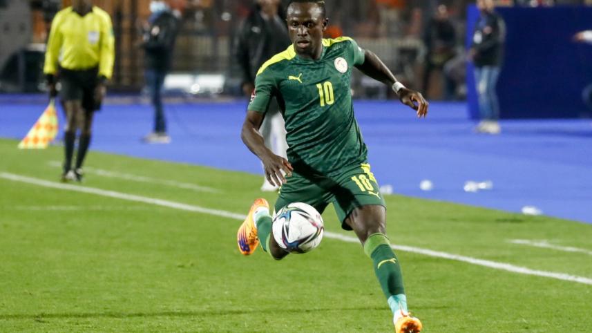 mane.jpg