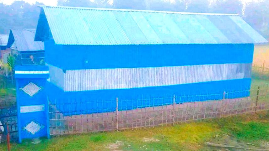 argentina_fan.jpg