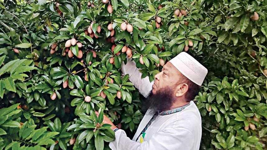 agriculture.jpg