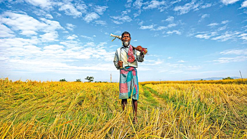 gumai-beel-3.jpg