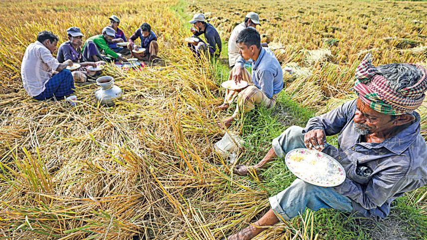 gumai-beel-4.jpg