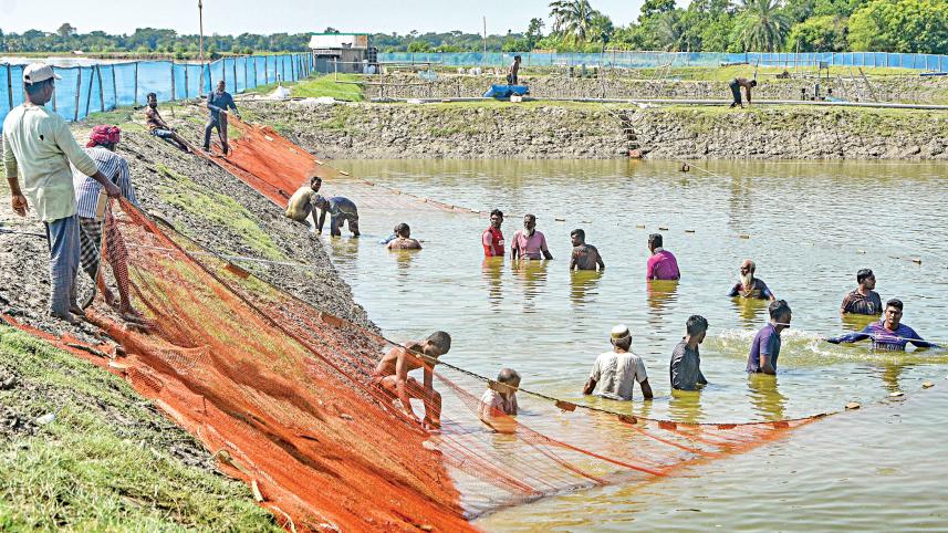 khulna.jpg