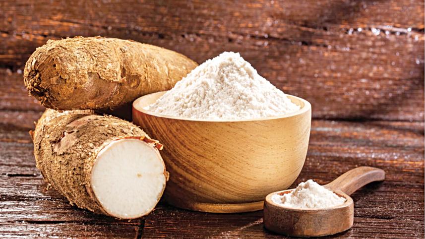 cassava-farmers.jpg