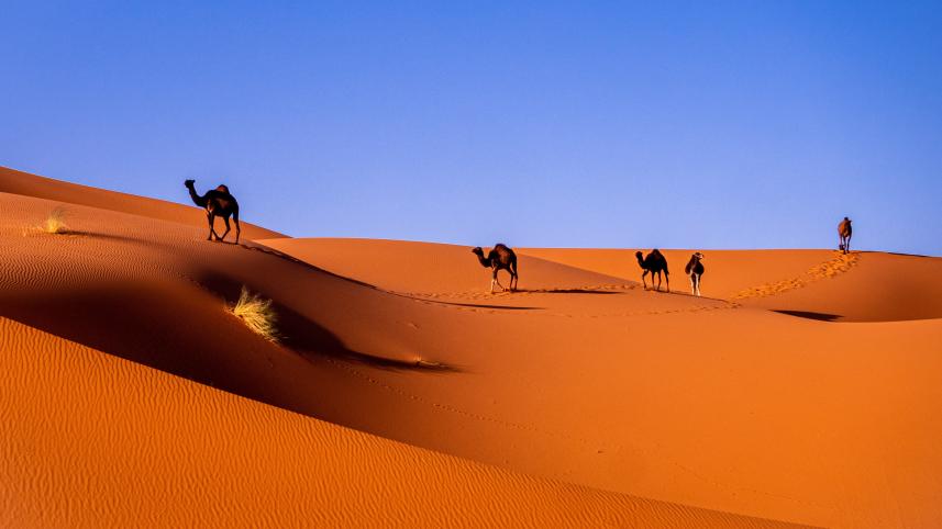 Top 5 places to visit in Morocco