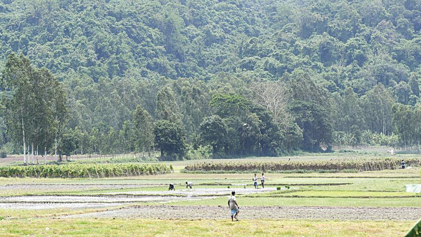 agriculture-2.jpg