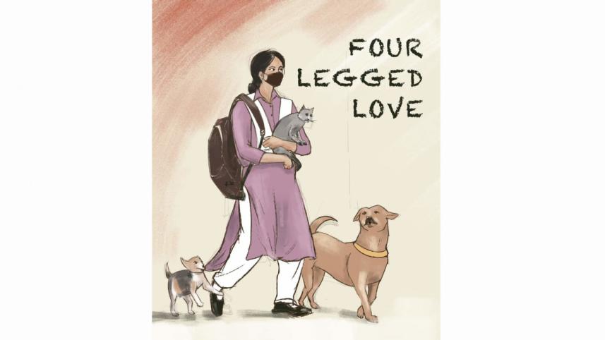 pets_0.jpg