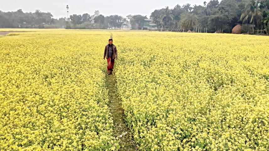 cultivation-season-1.jpg