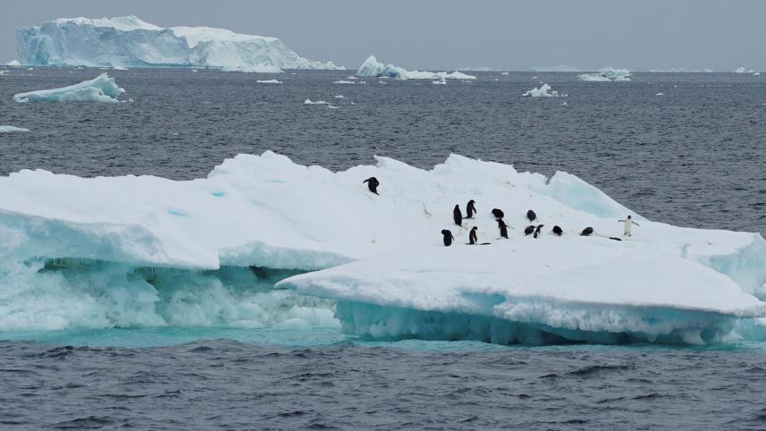 reuters_climate_change_2022