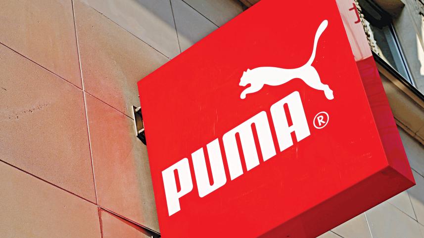 puma.jpg