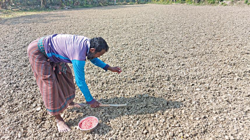 a-farmer-is-sowing-seeds.jpg