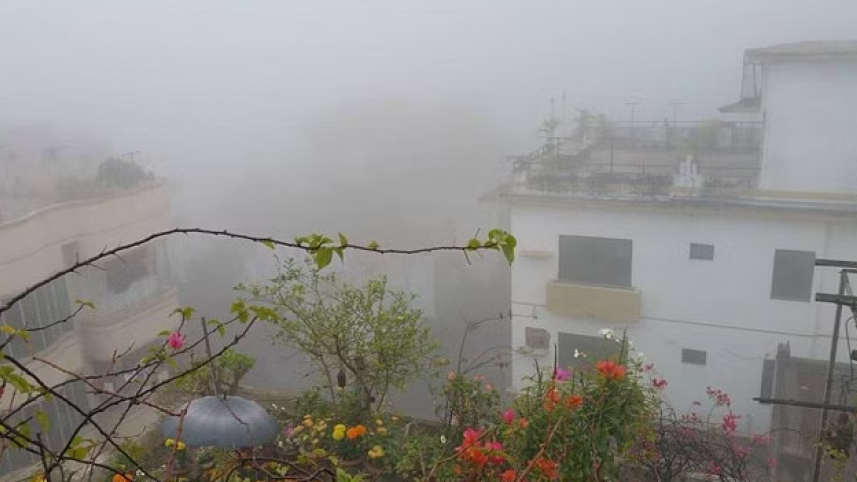fog