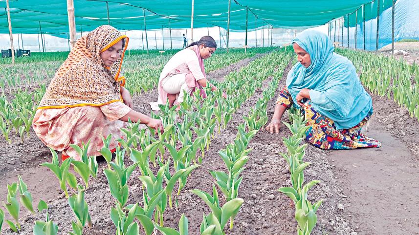 darjeepara-village-1.jpg