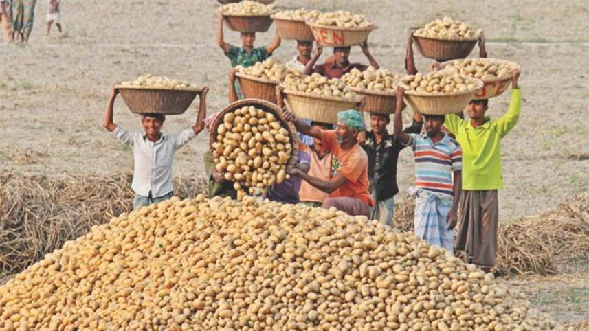 potatoes.jpg