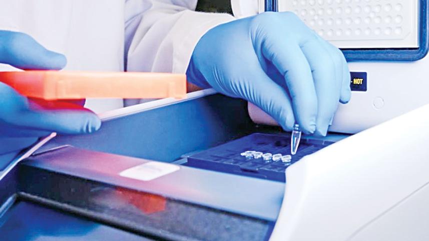 pcr.jpg