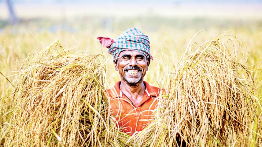farmer.jpg