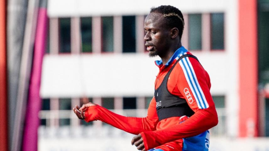 Mane_1.jpg