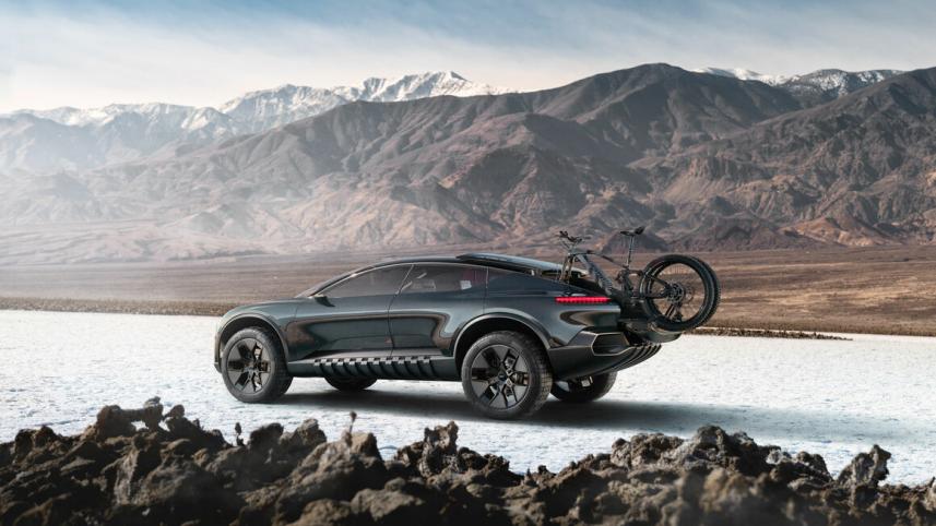 Audi Activesphere