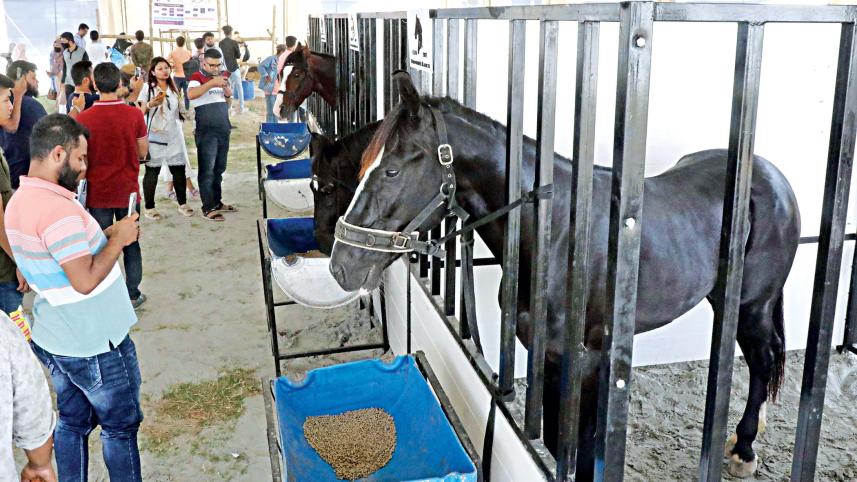 livestock-services-week-and-exhibition-2023-2.jpg