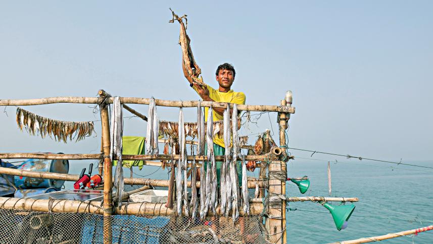 fishing-nets-15.jpg