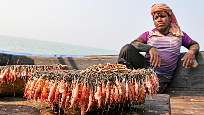 fishing-nets-45.jpg