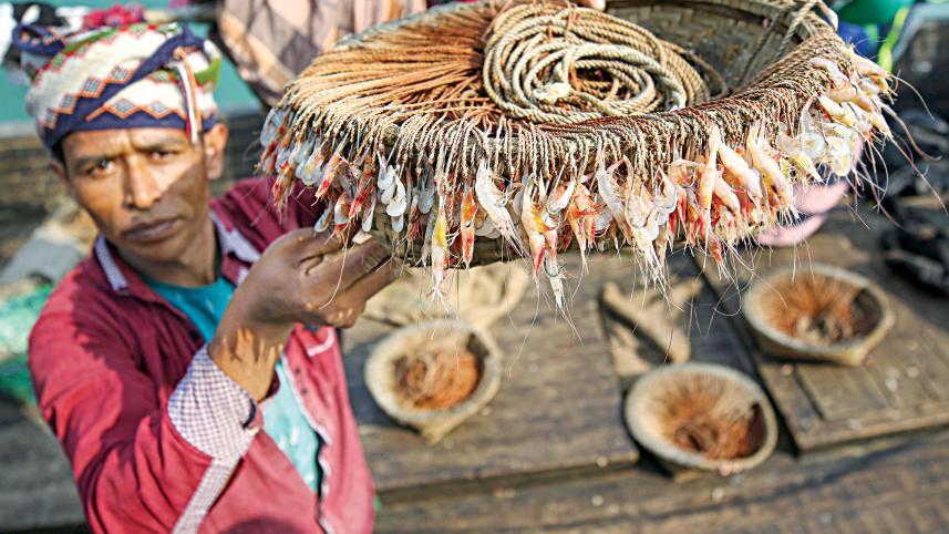 fishing-nets.jpg