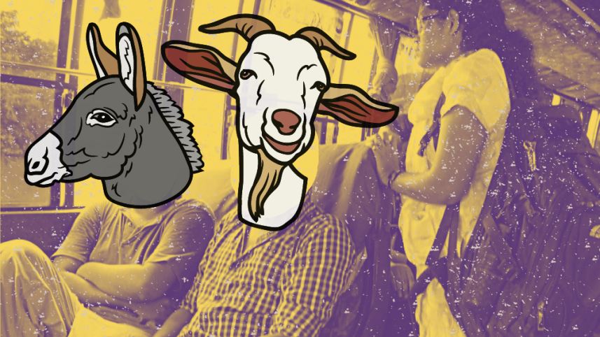 Women on public buses