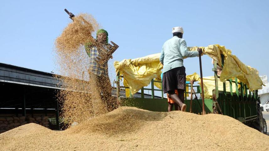husking-rice-millers.jpg