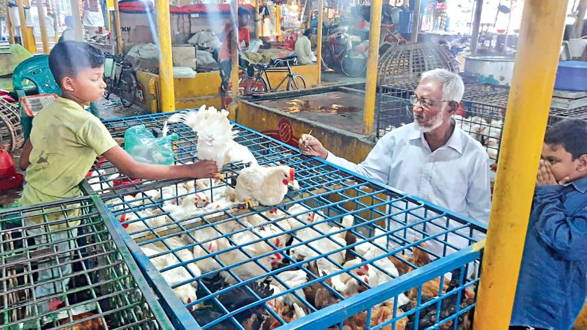 poultry-farmers.jpg