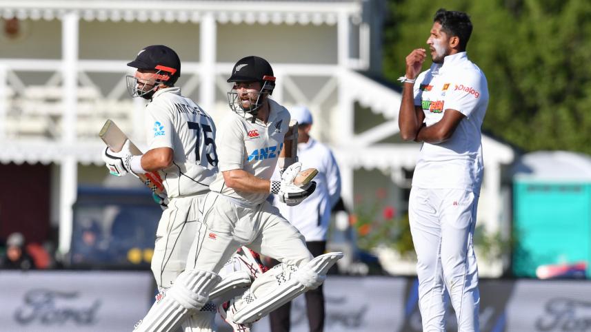 Nz-Sl.jpg