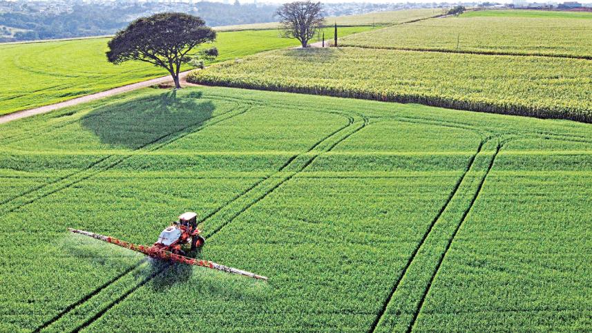 wheat-price.jpg