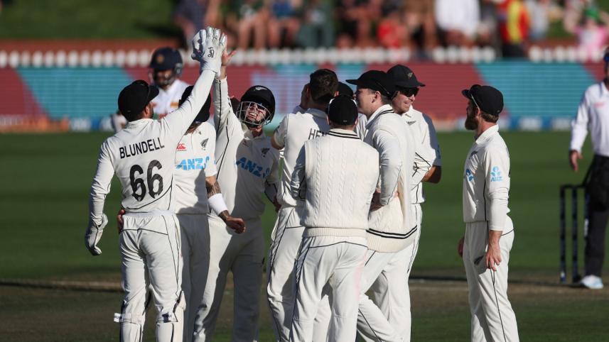 nz-sl_1.jpg