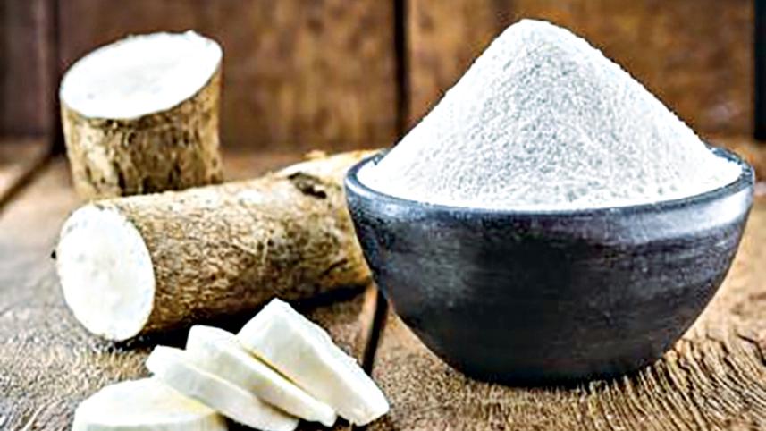 cassava-cultivation-4.jpg