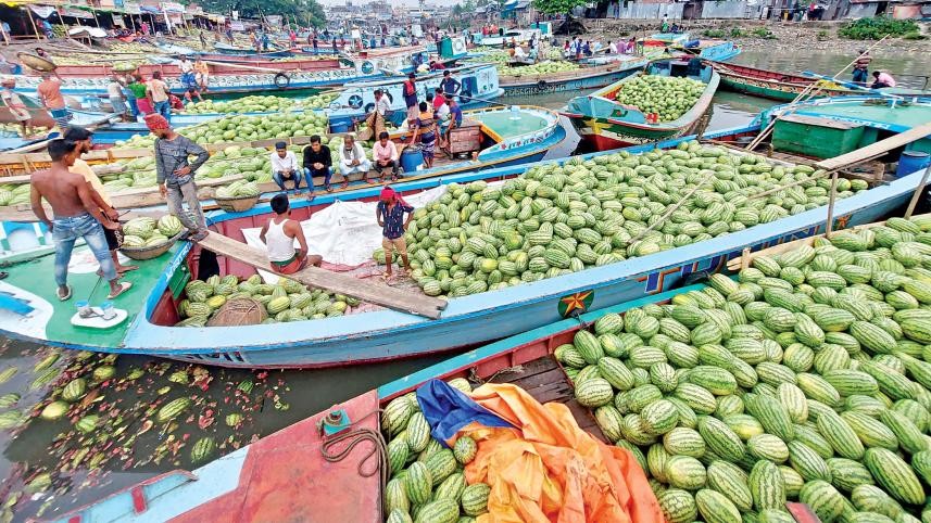 watermelon-1.jpg