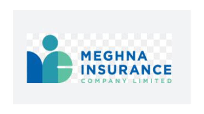 meghna-ins-profit.jpg