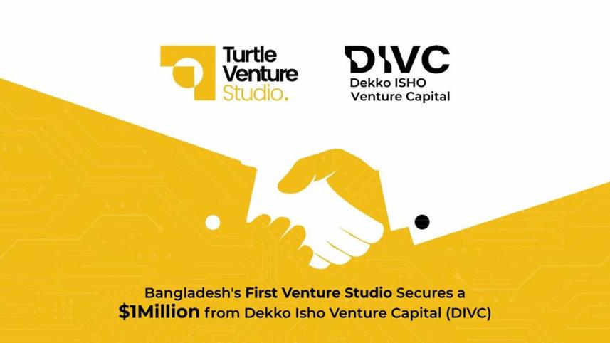 turtle-venture-studio.jpg