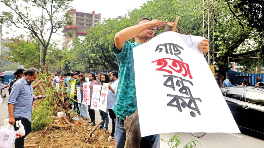 save-trees-saat-masjid-road.jpg