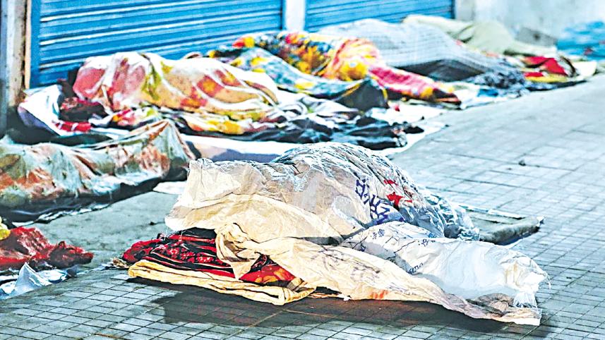 pavement-dwellers.jpg