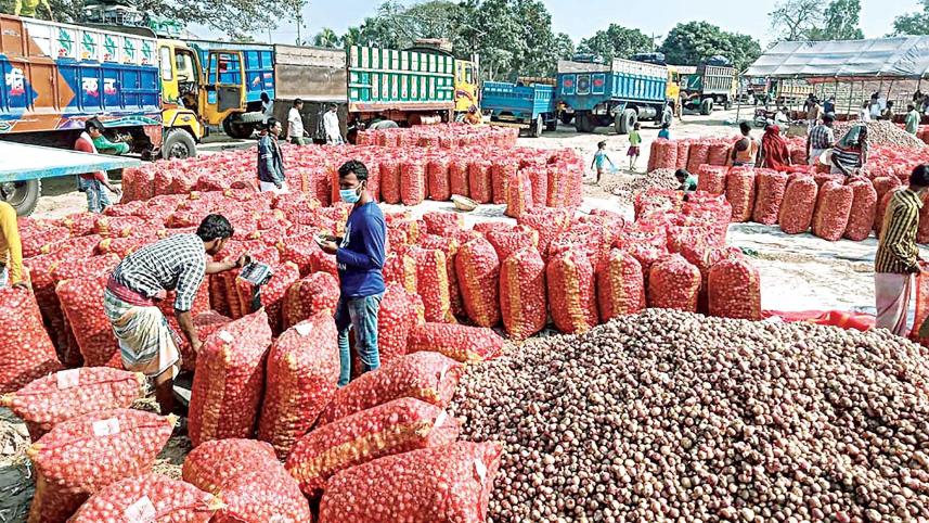 India moves to curb onion exports