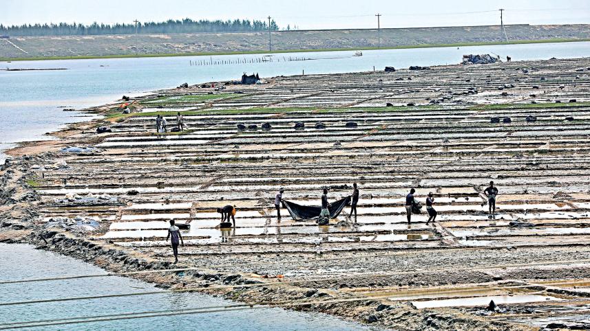 salt production