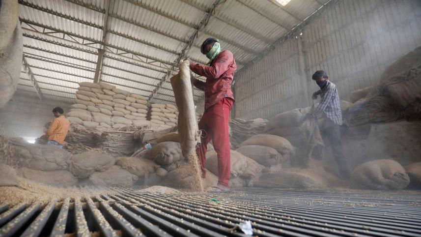 india-may-harvest-record.jpg