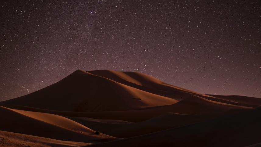 Top 5 desert holidays you can plan for your next vacation
