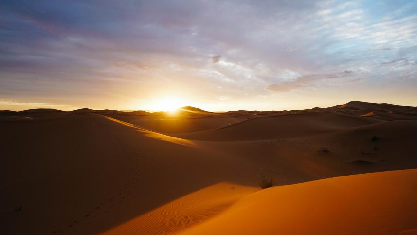 Top 5 desert holidays you can plan for your next vacation