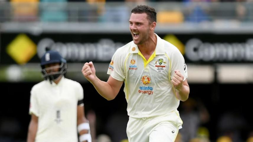 hazlewood.jpeg