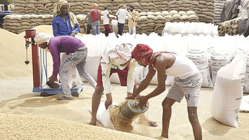 india-imposes-wheat-1.jpg